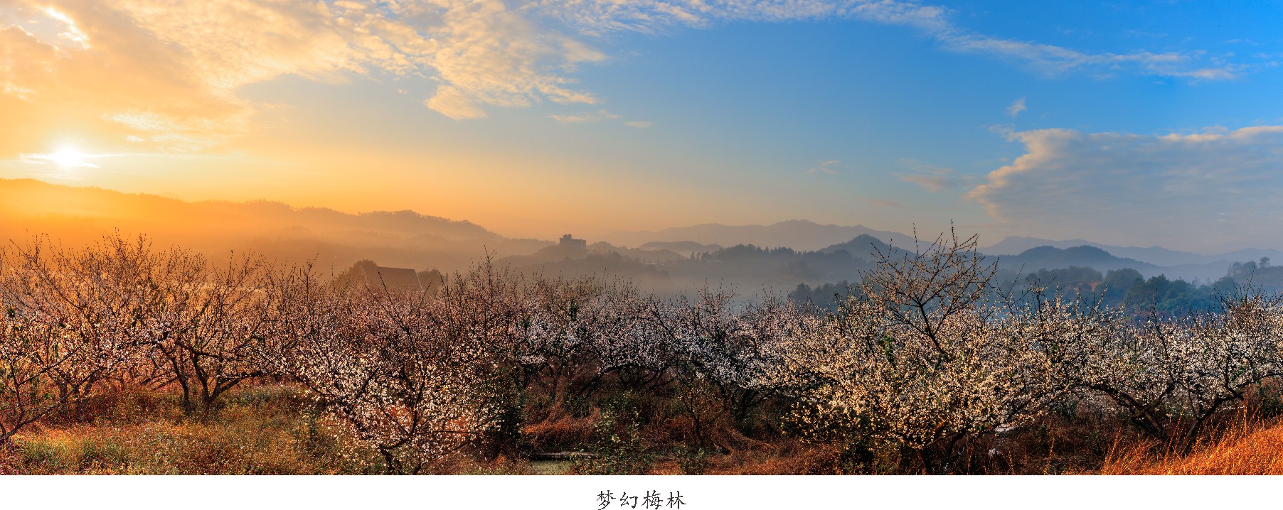 未命名 -1_009.JPG