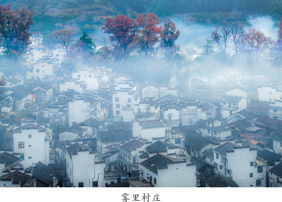 未命名 -1_006.JPG