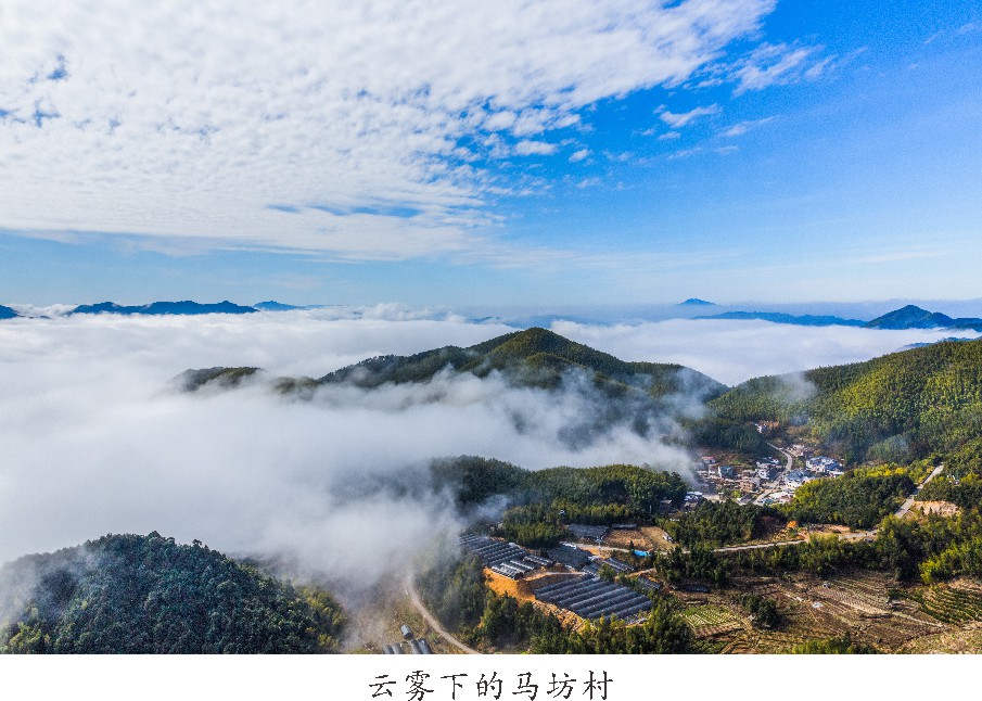 未命名 -1_004.JPG