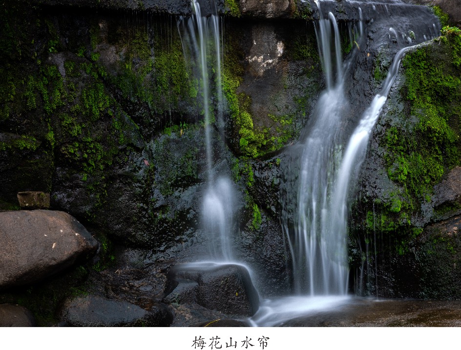 未命名 -1_010.JPG