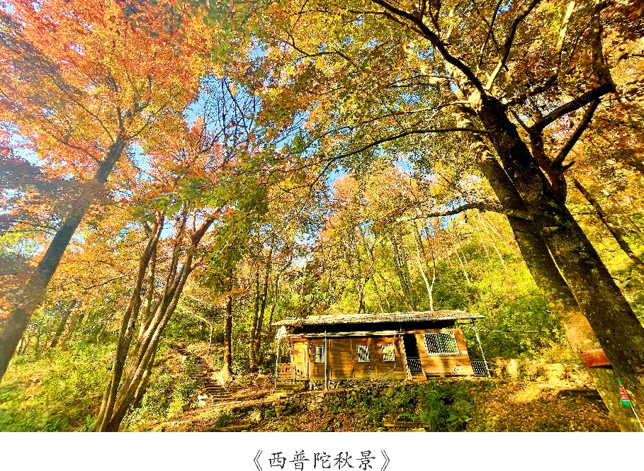 未命名 -1_007.JPG