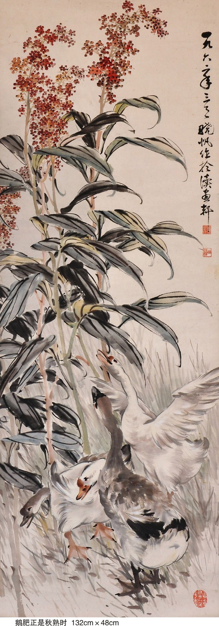 图形1-01.jpg
