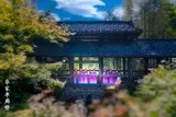 纪念新罗山人华喦诞生340周年专辑