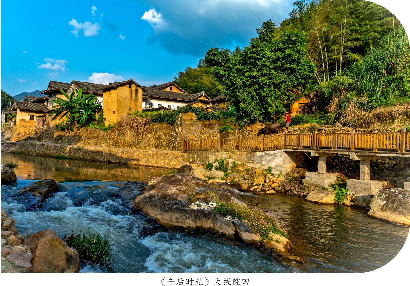 未命名 -1_011.JPG