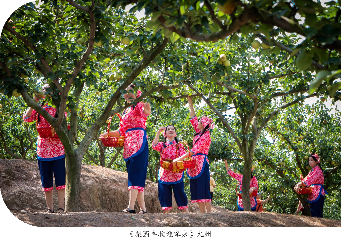 未命名 -1_010.JPG