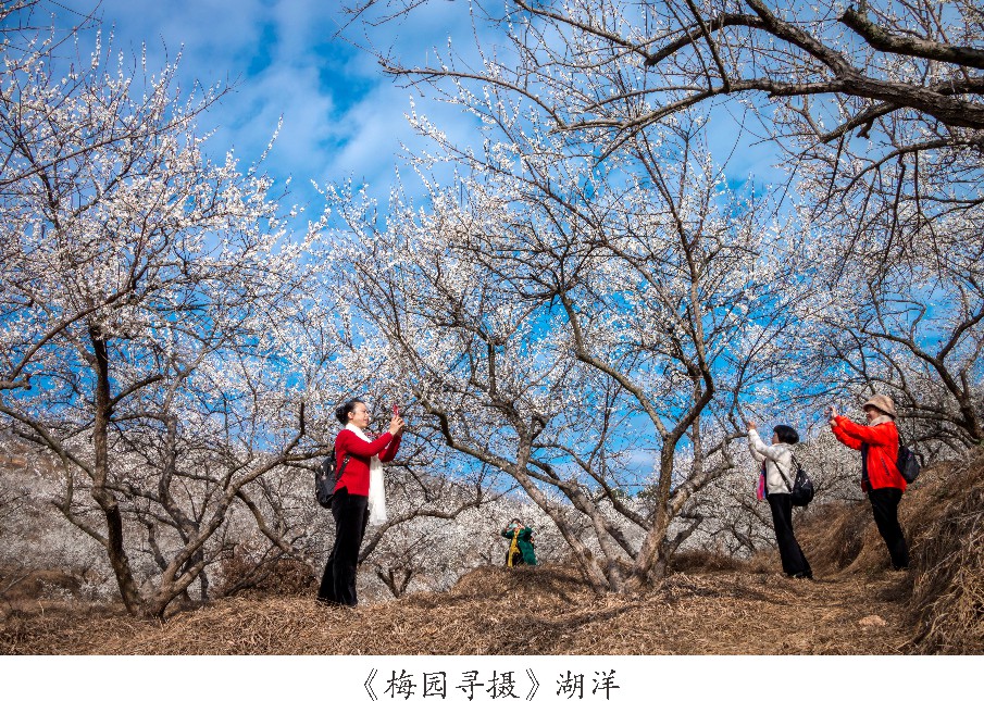 未命名 -1_003.JPG