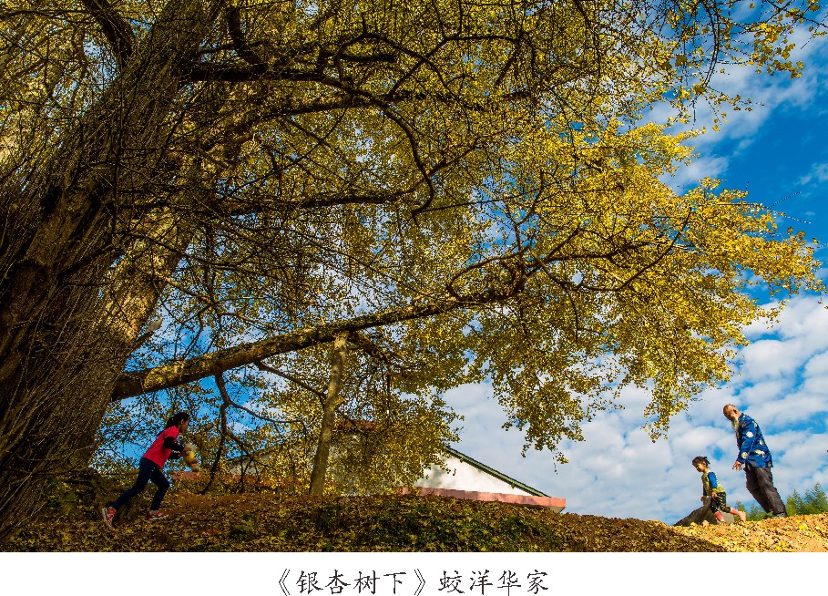 未命名 -1_008.JPG