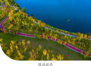 百姓故事报（第九十九期）_005.JPG