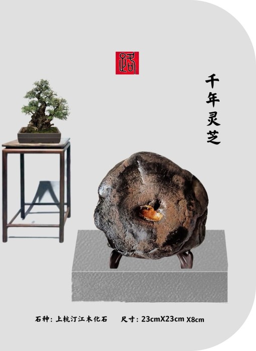 未命名 -1_008.JPG