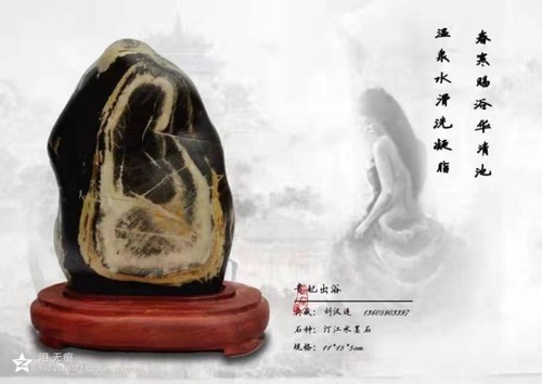 图形1-05.jpg