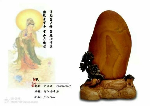 图形1-10.jpg