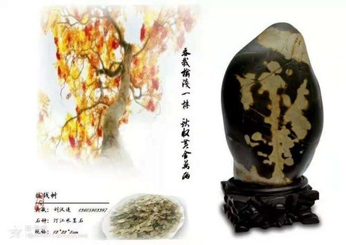 图形1-13.jpg